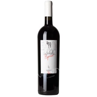 2010 Valpolicella Ripasso - 3 ltr.